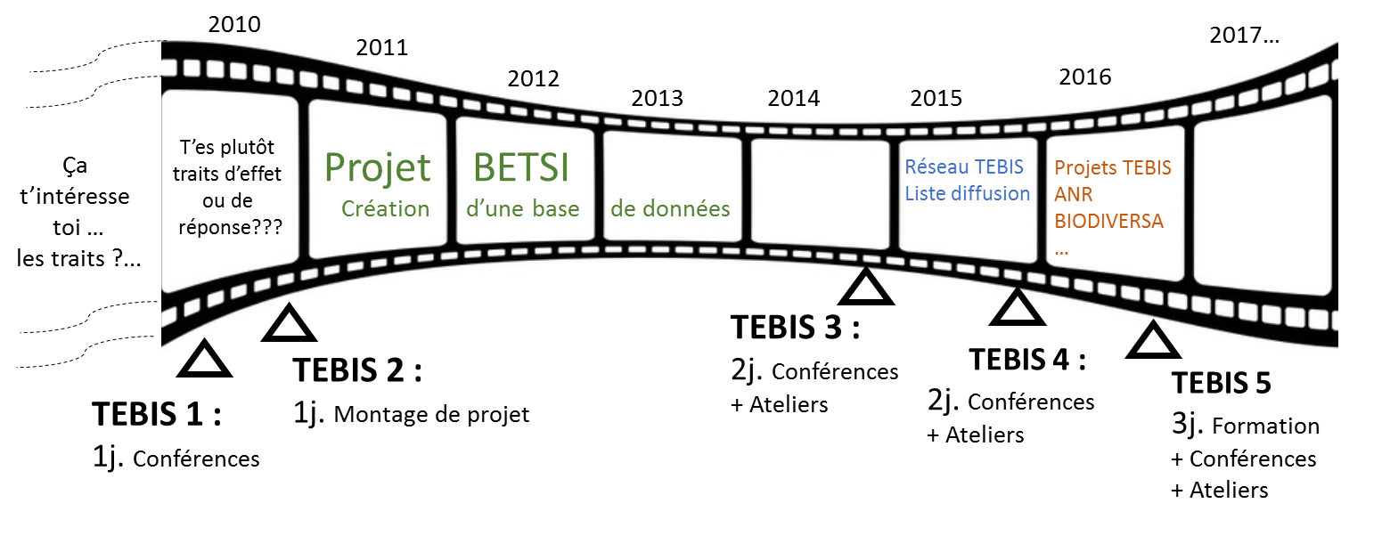 tebis-historique